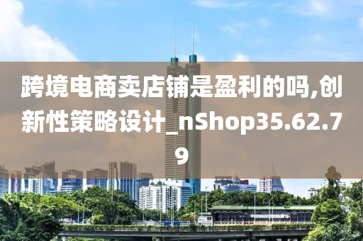 跨境电商卖店铺是盈利的吗,创新性策略设计_nShop35.62.79