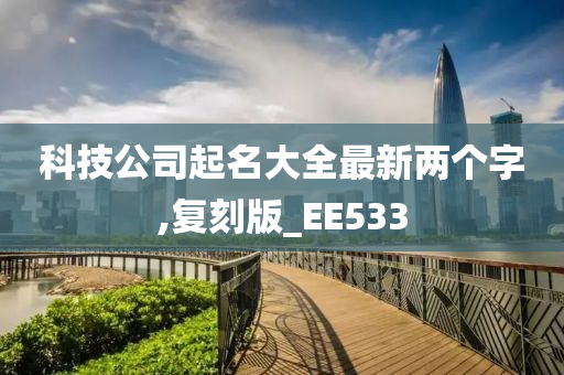 科技公司起名大全最新两个字,复刻版_EE533