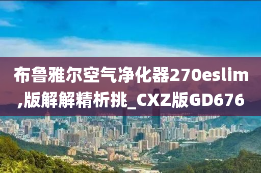 布鲁雅尔空气净化器270eslim,版解解精析挑_CXZ版GD676