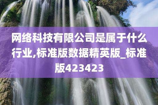 网络科技有限公司是属于什么行业,标准版数据精英版_标准版423423