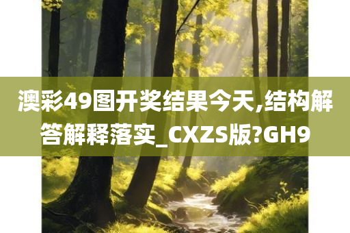 澳彩49图开奖结果今天,结构解答解释落实_CXZS版?GH9