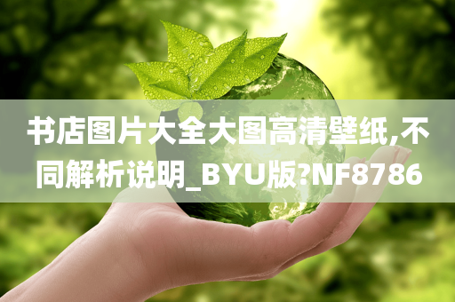 书店图片大全大图高清壁纸,不同解析说明_BYU版?NF8786