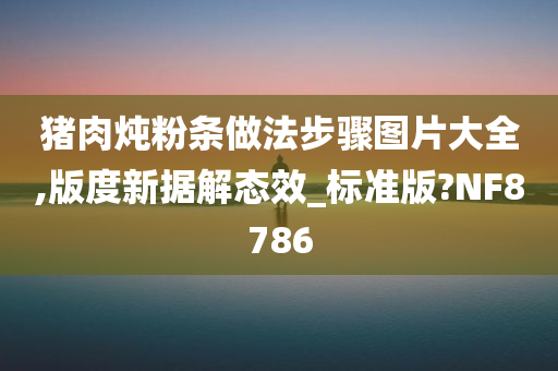 猪肉炖粉条做法步骤图片大全,版度新据解态效_标准版?NF8786