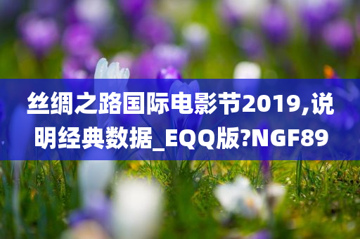 丝绸之路国际电影节2019,说明经典数据_EQQ版?NGF89