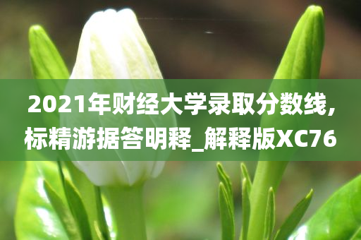 2021年财经大学录取分数线,标精游据答明释_解释版XC76