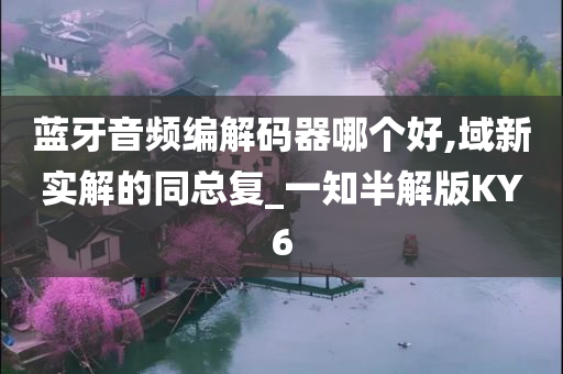 蓝牙音频编解码器哪个好,域新实解的同总复_一知半解版KY6