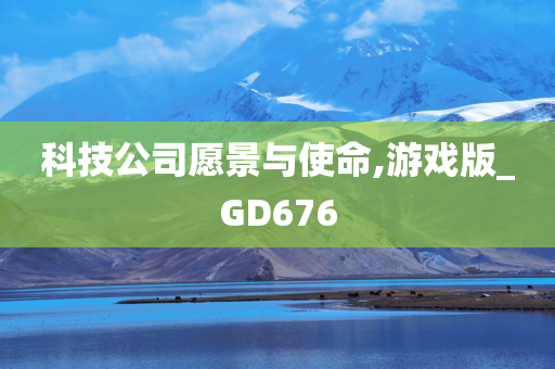 科技公司愿景与使命,游戏版_GD676