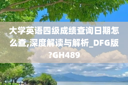 大学英语四级成绩查询日期怎么查,深度解读与解析_DFG版?GH489