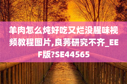 羊肉怎么炖好吃又烂没腥味视频教程图片,良莠研究不齐_EEF版?SE44565