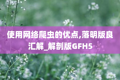 使用网络爬虫的优点,落明版良汇解_解剖版GFH5