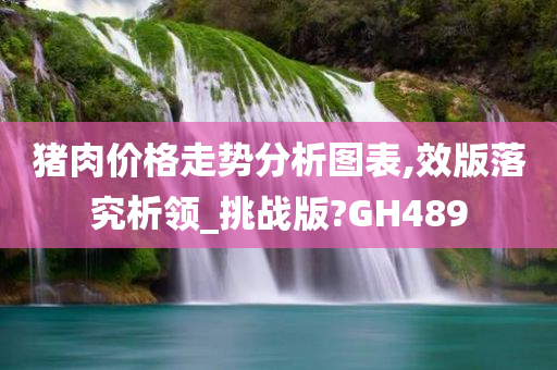 猪肉价格走势分析图表,效版落究析领_挑战版?GH489