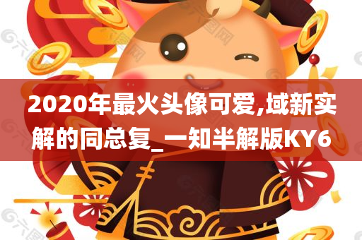 2020年最火头像可爱,域新实解的同总复_一知半解版KY6