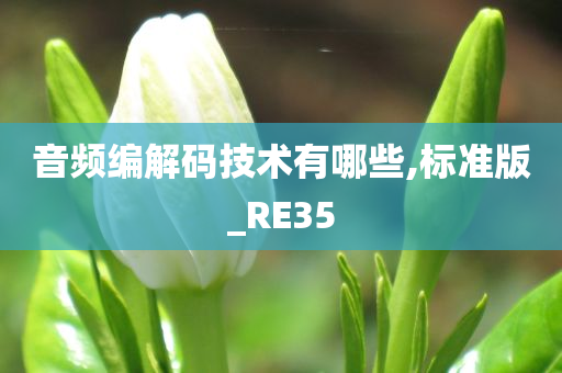 音频编解码技术有哪些,标准版_RE35