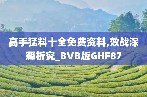 高手猛料十全免费资料,效战深释析究_BVB版GHF87