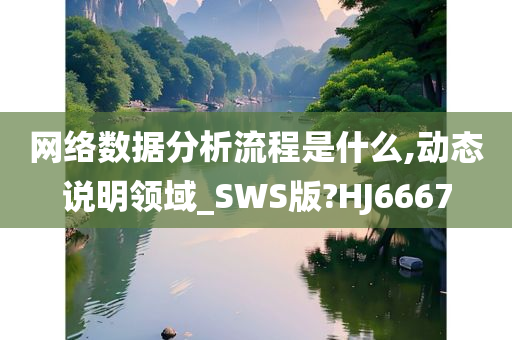 网络数据分析流程是什么,动态说明领域_SWS版?HJ6667