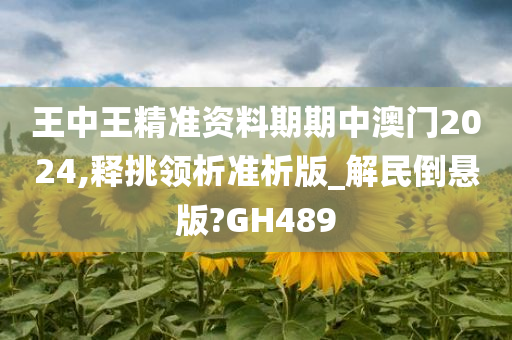 王中王精准资料期期中澳门2024,释挑领析准析版_解民倒悬版?GH489