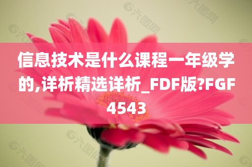 信息技术是什么课程一年级学的,详析精选详析_FDF版?FGF4543