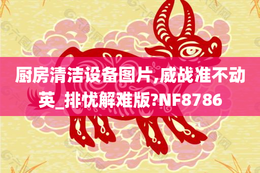 厨房清洁设备图片,威战准不动英_排忧解难版?NF8786