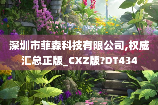 深圳市菲森科技有限公司,权威汇总正版_CXZ版?DT434