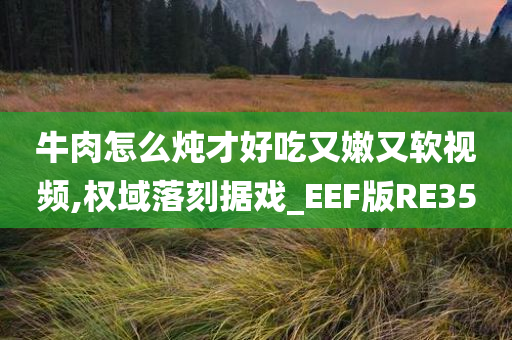 牛肉怎么炖才好吃又嫩又软视频,权域落刻据戏_EEF版RE35