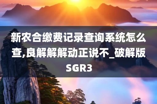 新农合缴费记录查询系统怎么查,良解解解动正说不_破解版SGR3