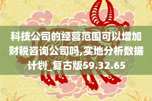 科技公司的经营范围可以增加财税咨询公司吗,实地分析数据计划_复古版59.32.65