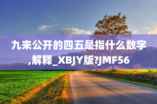 九来公开的四五是指什么数字,解释_XBJY版?JMF56