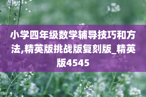 小学四年级数学辅导技巧和方法,精英版挑战版复刻版_精英版4545