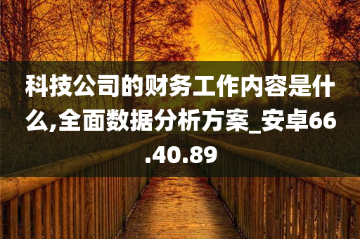 科技公司的财务工作内容是什么,全面数据分析方案_安卓66.40.89