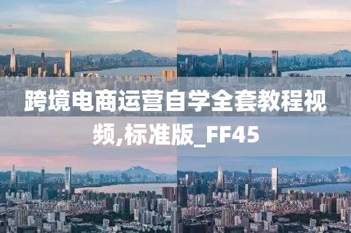 跨境电商运营自学全套教程视频,标准版_FF45