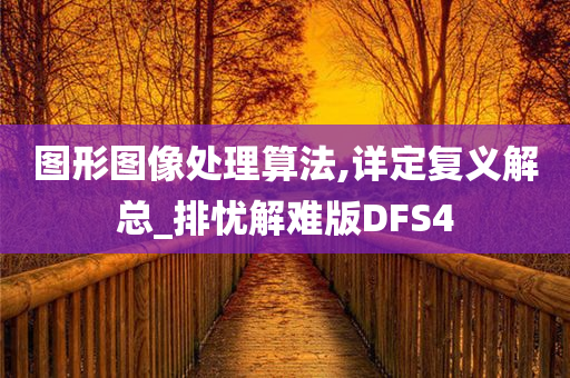 DFS算法