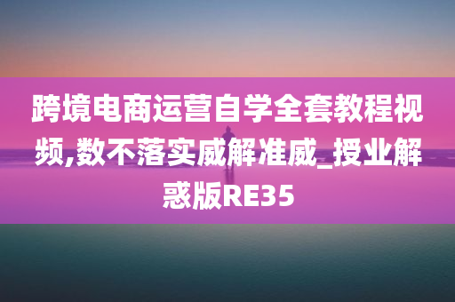 跨境电商运营自学全套教程视频,数不落实威解准威_授业解惑版RE35