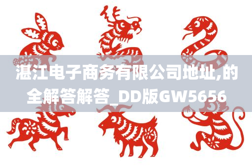 湛江电子商务有限公司地址,的全解答解答_DD版GW5656