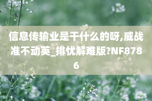 信息传输业是干什么的呀,威战准不动英_排忧解难版?NF8786