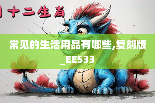 常见的生活用品有哪些,复刻版_EE533