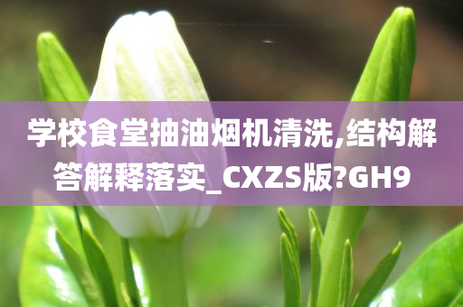 学校食堂抽油烟机清洗,结构解答解释落实_CXZS版?GH9