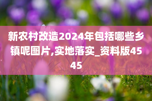 新农村改造2024年包括哪些乡镇呢图片,实地落实_资料版4545