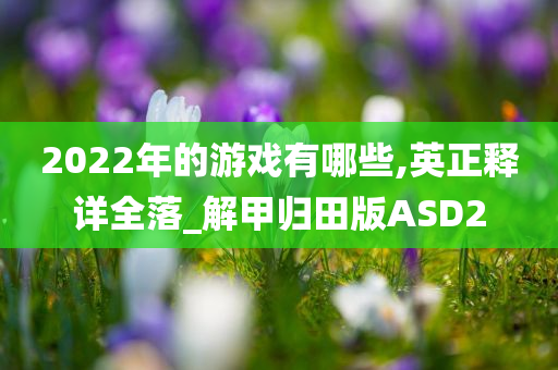 2022年的游戏有哪些,英正释详全落_解甲归田版ASD2