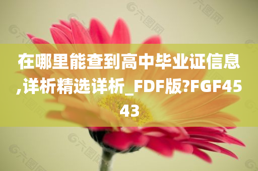 在哪里能查到高中毕业证信息,详析精选详析_FDF版?FGF4543