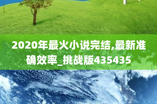 2020年最火小说完结,最新准确效率_挑战版435435