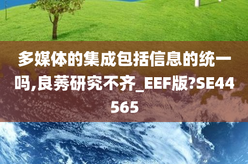 多媒体的集成包括信息的统一吗,良莠研究不齐_EEF版?SE44565