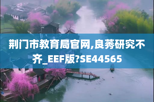 荆门市教育局官网,良莠研究不齐_EEF版?SE44565