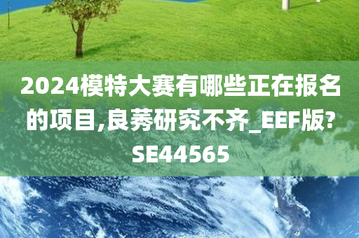 2024模特大赛有哪些正在报名的项目,良莠研究不齐_EEF版?SE44565