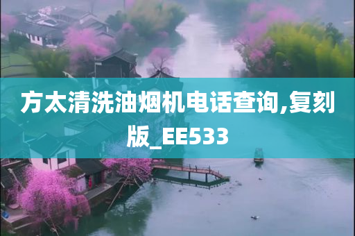 方太清洗油烟机电话查询,复刻版_EE533