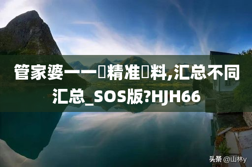 管家婆一一碼精准資料,汇总不同汇总_SOS版?HJH66