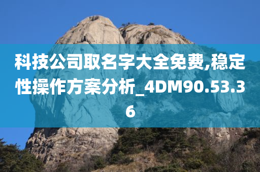 科技公司取名字大全免费,稳定性操作方案分析_4DM90.53.36