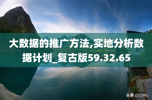 大数据的推广方法,实地分析数据计划_复古版59.32.65