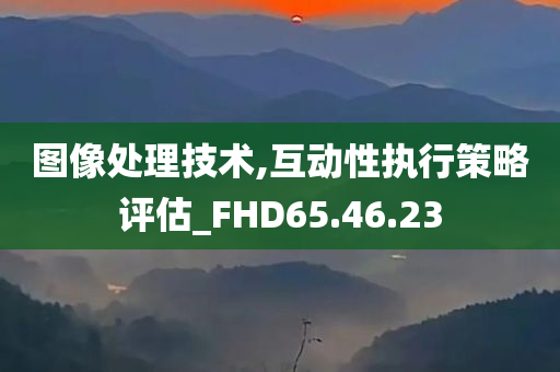 图像处理技术,互动性执行策略评估_FHD65.46.23