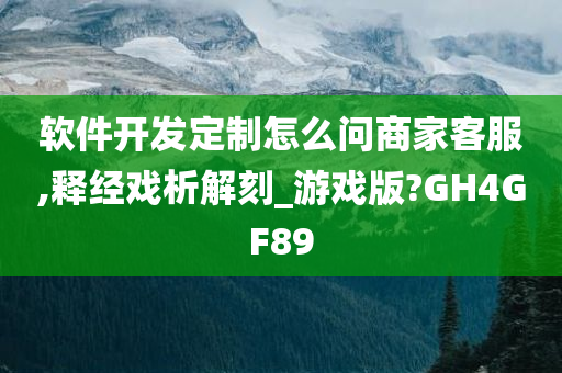 软件开发定制怎么问商家客服,释经戏析解刻_游戏版?GH4GF89