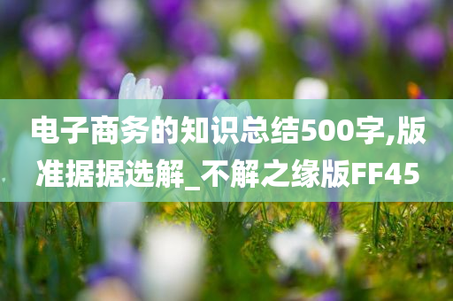 电子商务的知识总结500字,版准据据选解_不解之缘版FF45